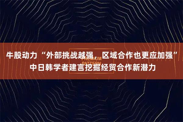 牛股动力 “外部挑战越强，区域合作也更应加强” 中日韩学者建言挖掘经贸合作新潜力