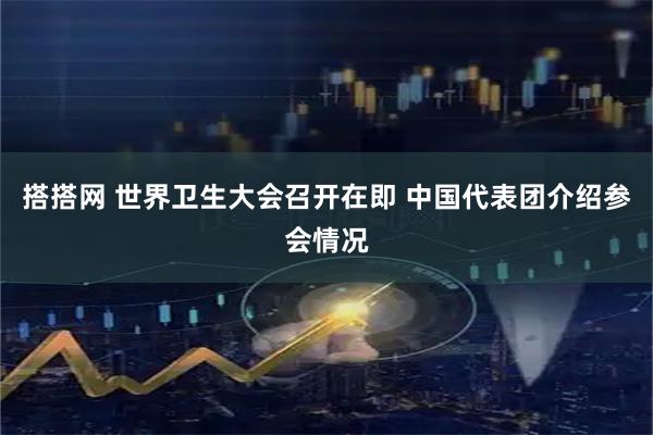 搭搭网 世界卫生大会召开在即 中国代表团介绍参会情况