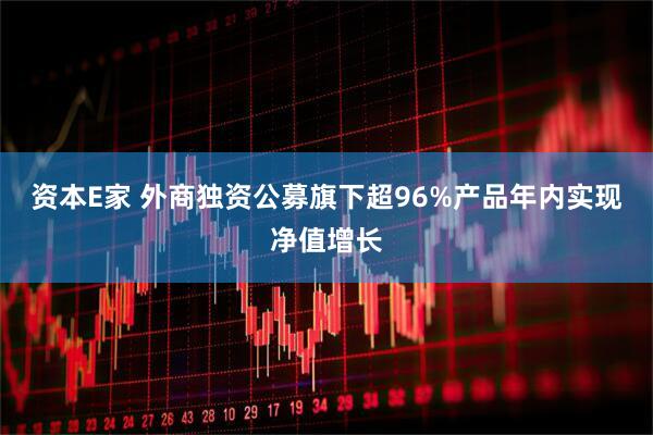 资本E家 外商独资公募旗下超96%产品年内实现净值增长