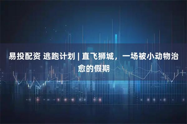 易投配资 逃跑计划 | 直飞狮城，一场被小动物治愈的假期